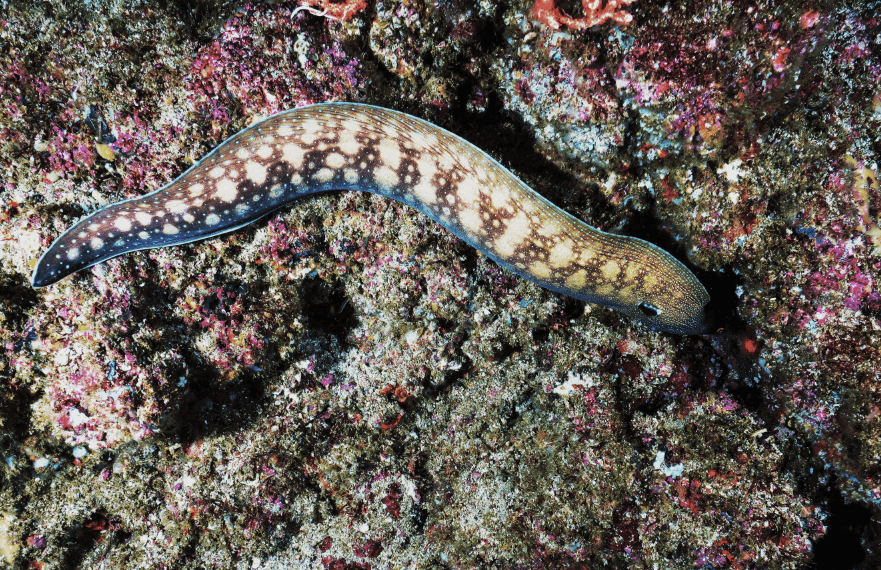 1637313488(1).jpg 1637313488(1).jpg